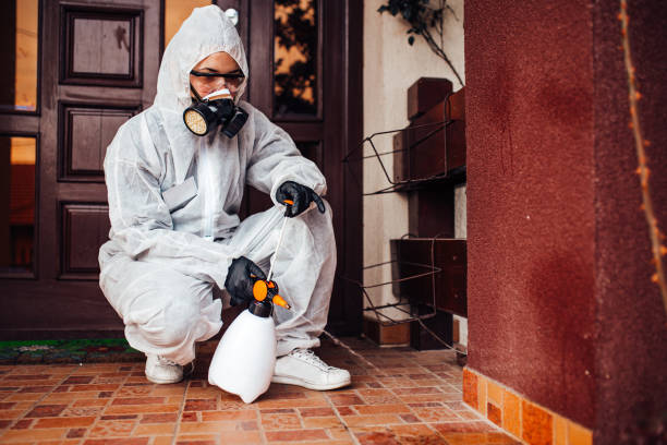 Reliable Mosquito Control contractor in Prattville, AL by Show Me Pest Control